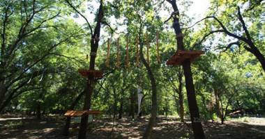 FOTO. Când se deschide și cum va arăta parcul de aventuri de la Neptun - 9