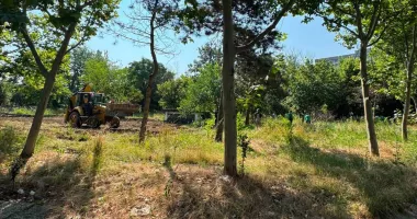 Diana Buzoianu anunță începerea lucrărilor la un nou parc de aproape 31.000 de metri pătrați