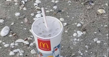 PLAJA DIN NĂVODARI, LOC DE PARCARE ȘI COȘ DE GUNOI. CUM SĂ DEVII "VEDETĂ" PE "PARCHEZ CA UN BOU" / GALERIE FOTO - 4