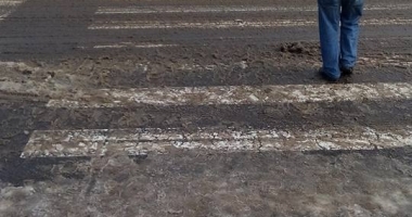 GALERIE FOTO / "Parchez ca un Bou", ediția de iarnă. Autobuze blocate, parcări pe trecerea de pieton și alte "minunății" - 7