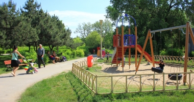 Stire din Social : Invazie de țânțari la Constanța! Primăria spune că a stropit spațiile verzi