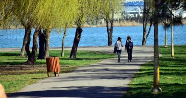 USR, protest pentru salvarea parcului Tăbăcărie - 2