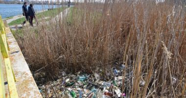 Misterele Parcului Tăbăcărie.  "Este o chestiune de timp până or să apară blocuri…" - 4