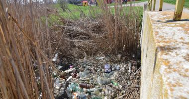 Misterele Parcului Tăbăcărie.  "Este o chestiune de timp până or să apară blocuri…" - 5