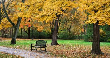 Stire din Social : Prognoza pentru următoarele patru săptămâni. Meteorologii ne spun dacă vin temperaturile de iarnă
