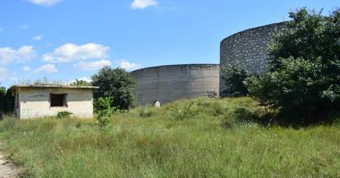 "Parcul natural" din mijlocul Constanței așteaptă inițiativa Oil Terminal și a administrației locale - 2
