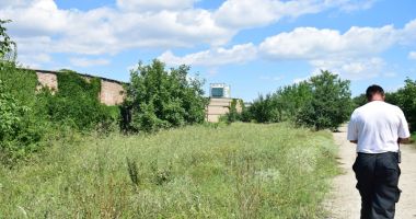 "Parcul natural" din mijlocul Constanței așteaptă inițiativa Oil Terminal și a administrației locale - 3