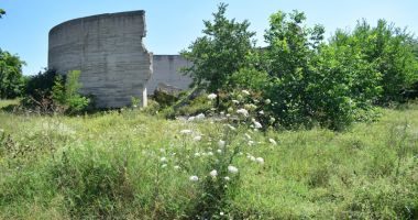 "Parcul natural" din mijlocul Constanței așteaptă inițiativa Oil Terminal și a administrației locale - 5