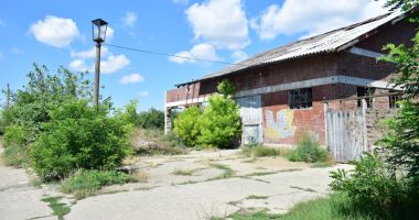 "Parcul natural" din mijlocul Constanței așteaptă inițiativa Oil Terminal și a administrației locale - 8