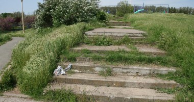 Stire din Social : Acțiune de ecologizare a malului lacului Tăbăcărie