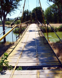 Cum a ajuns Parcul Tăbăcăriei o cloacă - 8