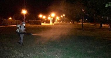 Stire din Politică-Administrație : Parcurile din oraș, stropite împotriva insectelor de angajații primăriei