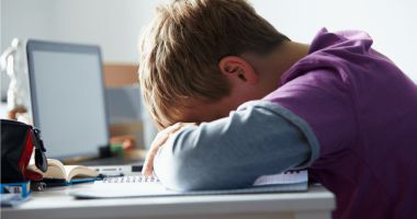 Părinţii care pleacă la muncă în străinătate, fără copii, obligaţi să anunţe autorităţile - 2