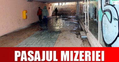 Stire din Social : COCINA DIN CENTRUL CONSTANȚEI. Îți este SCÂRBĂ să treci pe acolo