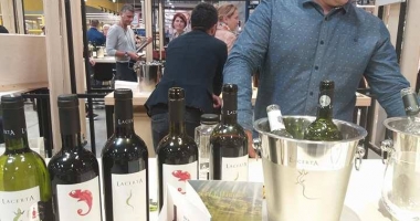 Festivalul Vinului din România, adus în magazinul Selgros Constanța. Înconjurul lumii în peste 100 de soiuri de vin - 4