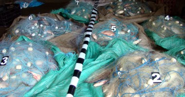 Stire din Eveniment : Patru kilometri de plase, descoperite în Marea Neagră