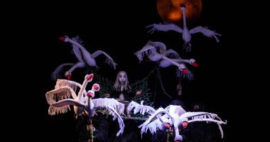 Stire din Cultură-Educație : Patru noi reprezentații pentru spectacolul "Lebedele"