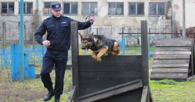 Stire din Eveniment : Nu se tem nici de Dinamo! - Galerie Foto