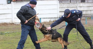 Nu se tem nici de Dinamo! - Galerie Foto - 2