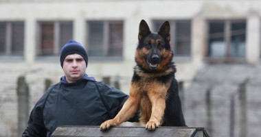 Nu se tem nici de Dinamo! - Galerie Foto - 4