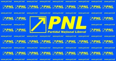 DEMISIE de la conducerea PNL!
