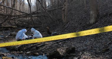 Stire din Eveniment : Paznic de la Romsilva, găsit împușcat în pădure