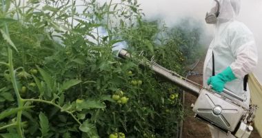 Stire din Economie : Pedepse aspre pentru utilizarea necorespunzătoare a substanțelor chimice foarte periculoase