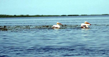 Jurnal de călătorie în Delta Dunării - 2