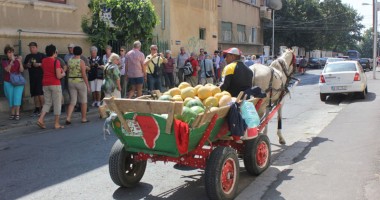 Ce atracții găsesc turiștii în Peninsulă - 2