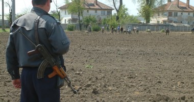 Stire din Eveniment : Deținuții de la Poarta Albă vor să muncească. I-ați angaja?