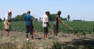 Stire din Economie : Pensiile din agricultură sunt foarte mici