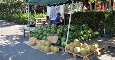 Constanța, o imensă tarabă de pepeni - 4
