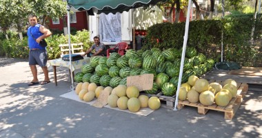 Constanța, o imensă tarabă de pepeni - 3