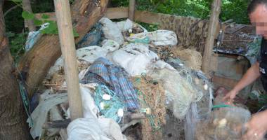 PERCHEZIȚII ÎN JUDEȚUL CONSTANȚA. DESCINDERI acasă la primarul din Ghindărești și la sediul primăriei - 5