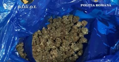 PERCHEZIȚII DOMICILIARE ÎNTR-UN DOSAR DE TRAFIC DE DROGURI
