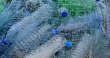 Stire din Eveniment : Percheziții de amploare la firme acuzate de reciclare fictivă. Prejudiciu de peste opt milioane de lei