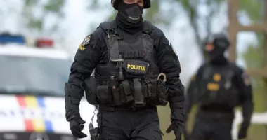 Stire din Eveniment : Zeci de percheziții în șase județe pentru combaterea exploatării ilegale a lemnului
