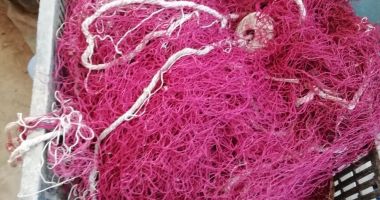 PERCHEZIȚII la Constanța! 10 pescari, reținuți și propuși pentru arestare preventivă - 3