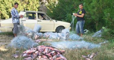 Percheziții în Constanța și Tulcea. Vizați: braconierii