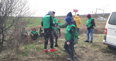 Stire din Social : Perdea forestieră de protecție pentru Autostrada Soarelui