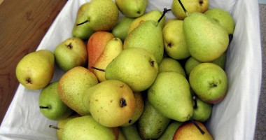 Stire din Diverse : Porția de natură: perele, delicii de toamnă