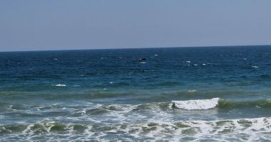 Stire din Economie : Zece perimetre din spaţiul maritim au fost adjudecate în urma organizării în două etape a licitaţiei