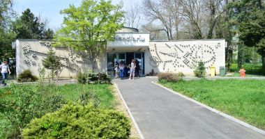 Stire din Social : Aproximativ 600 de persoane interesate de ploaia de meteori