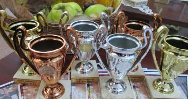 Persoanele cu dizabilități se întrec la Cupa toamnei, la dart’s, șah și rummy - 2