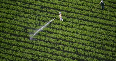 Stire din Economie : Modificări privind accesarea fondurilor în agricultura ecologică