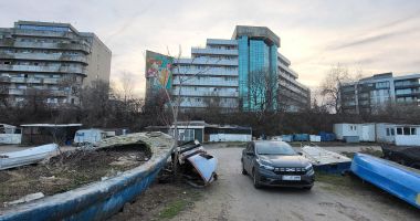 Epave abandonate, şandramale şi câini vagabonzi. Cât de oribilă este zona Pescărie! - 2