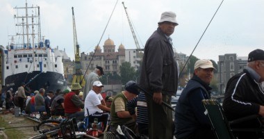 Pescarii și chefalul au invadat portul Constanța - 2