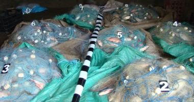 Stire din Eveniment : Iată cu ce își fac meseria pescarii de ocazie. Polițiștii au confiscat tot