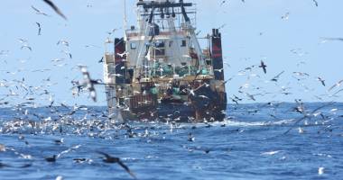 Stire din Economie : Pescuitul și bunăstarea animalelor, în dezbaterea Consiliului UE