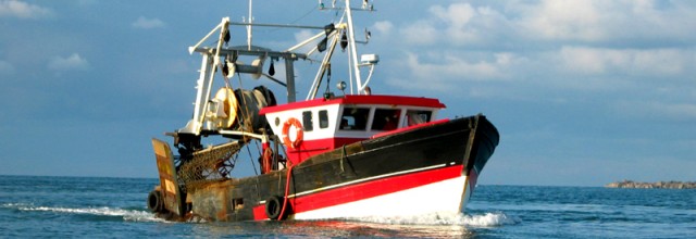 Stire din Economie : Portul pescăresc Midia va fi construit cu bani europeni